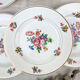 6 assiettes terre de fer salins modèle "anny" motif fleuris