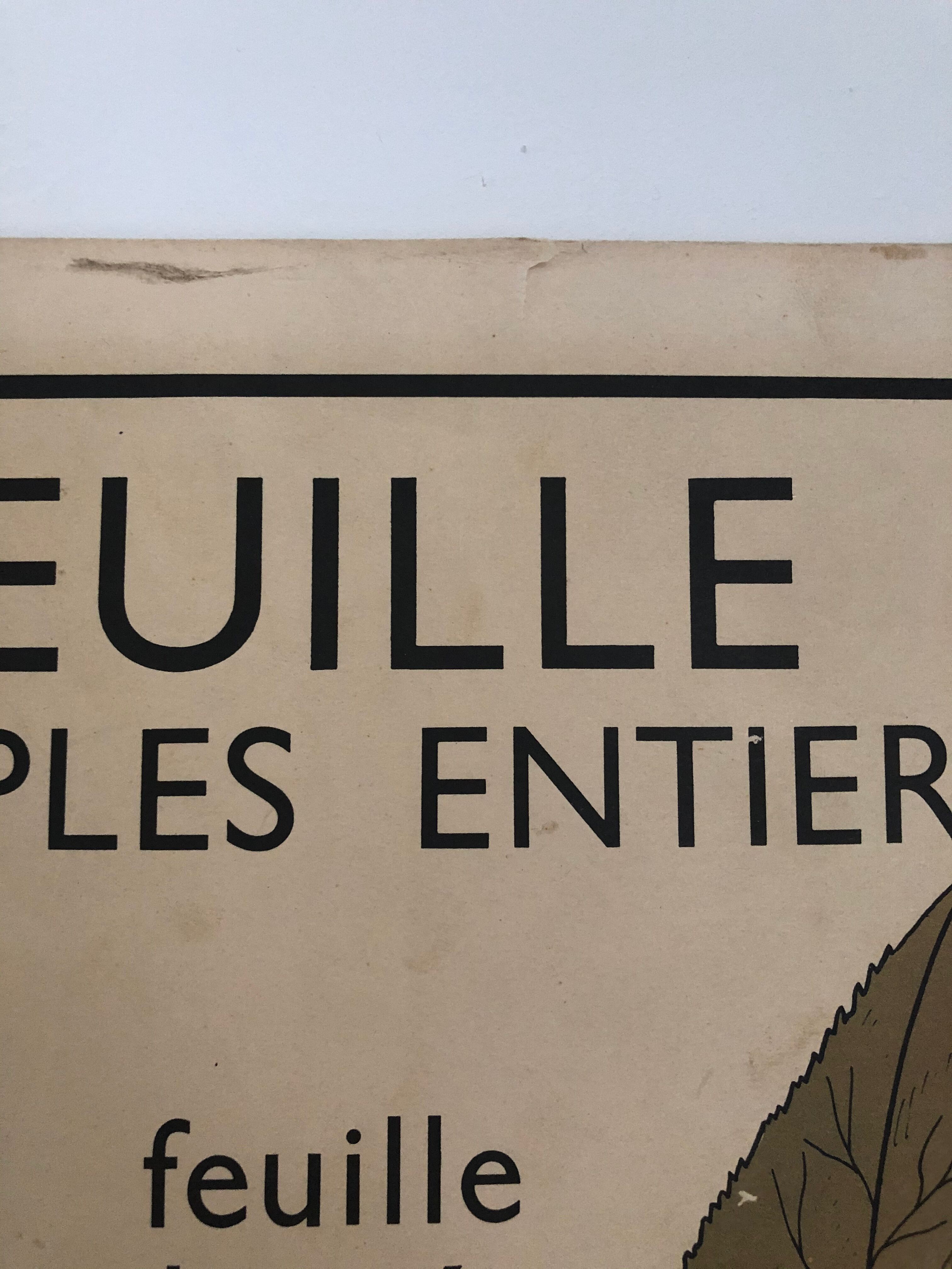 Old School Poster Rossignol No. 5 and 6