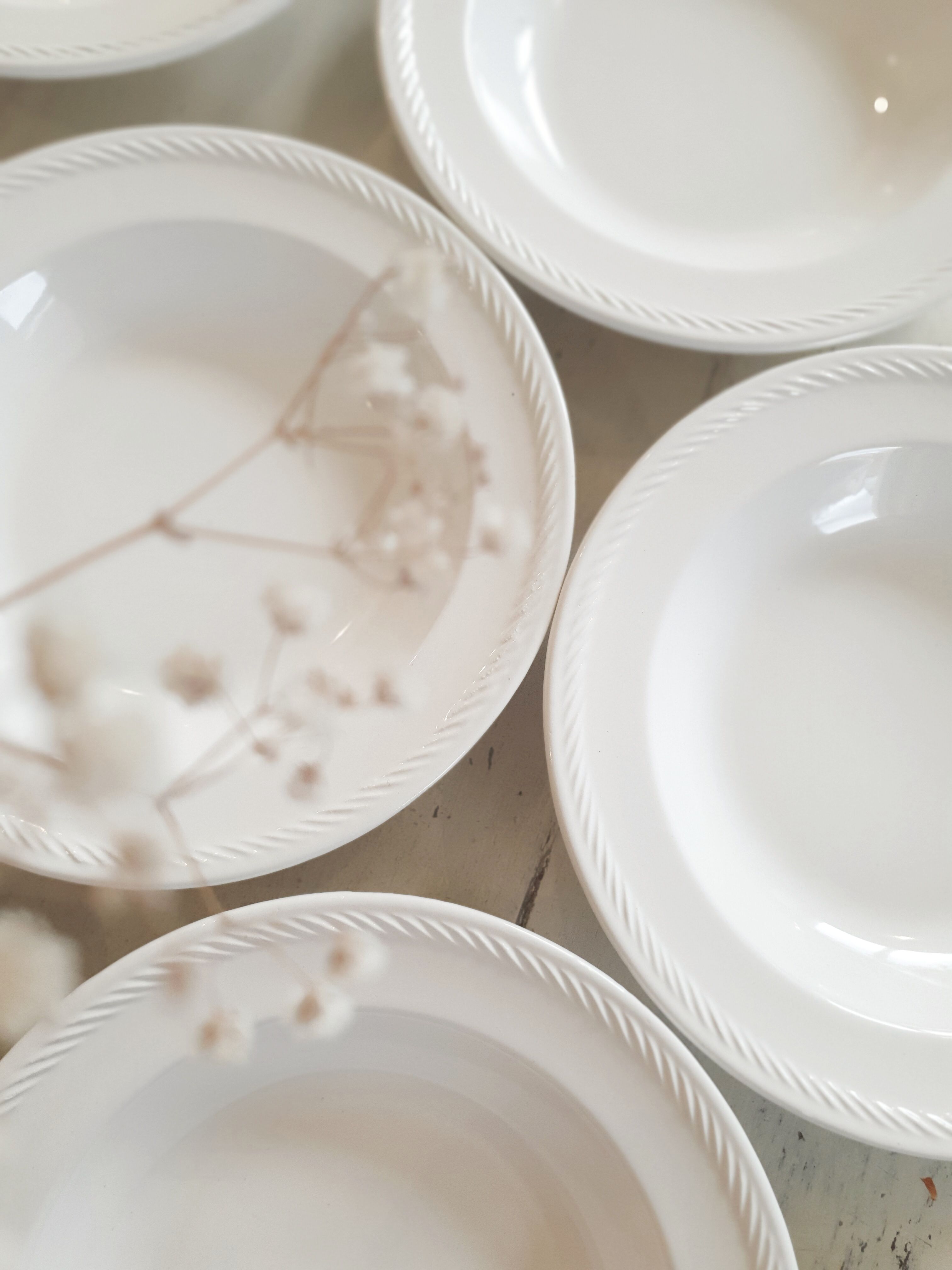 10 plates in Haute-Provence earthenware