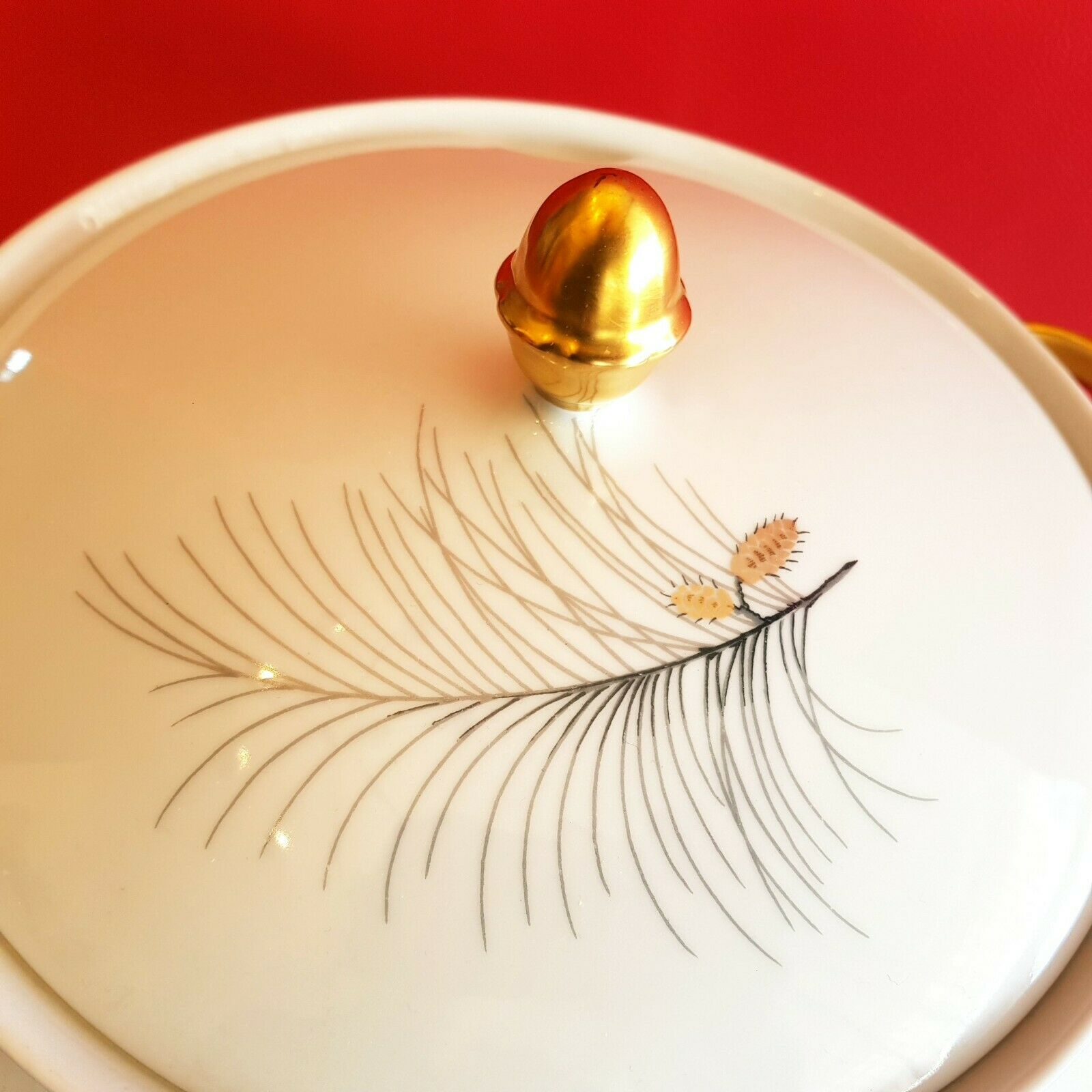 Porcelain vegetable soup Limoges Raynaud & C