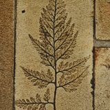 Coffee table signed R. Capron, Les Herbiers Collection, Vallauris – 1960