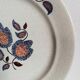 Serving 20 flat plates Sologne de Saint Amand