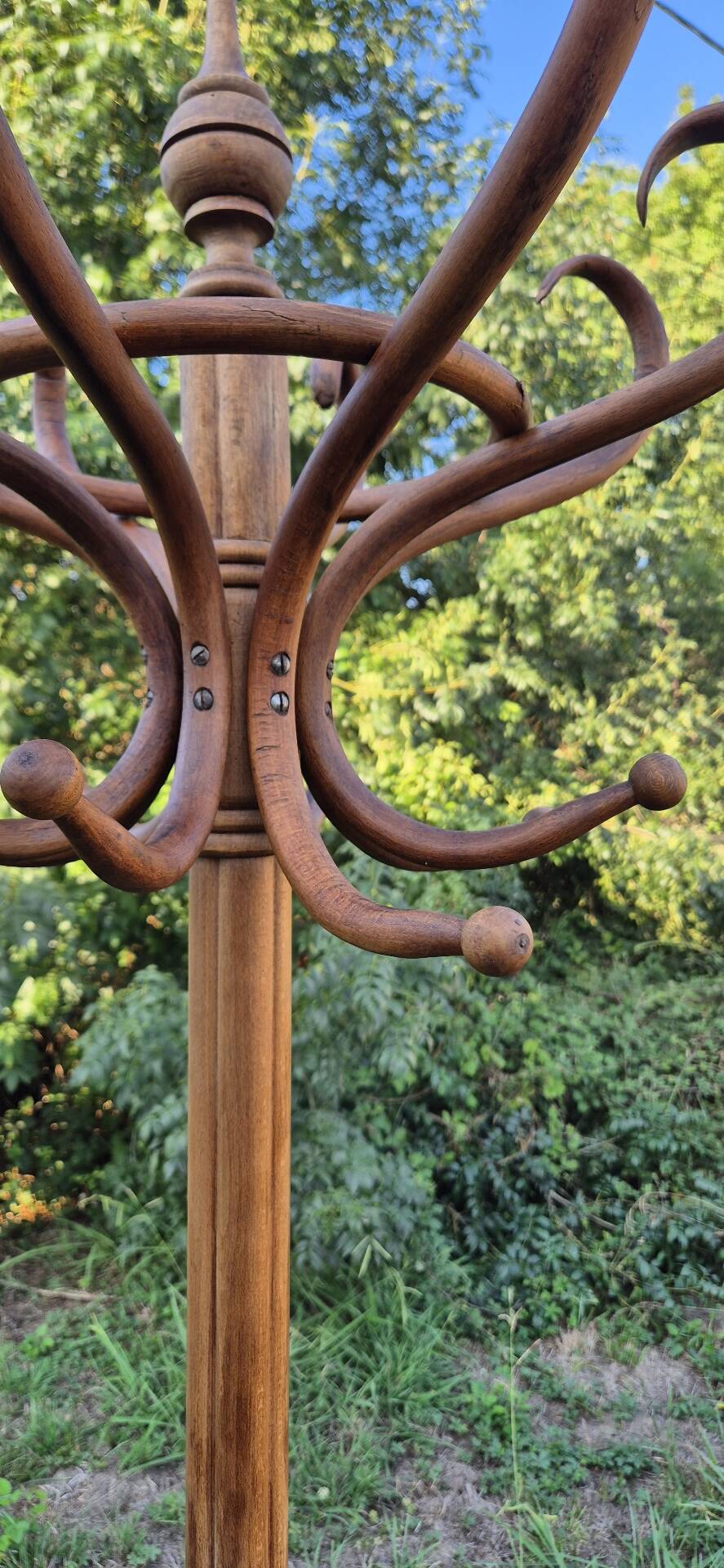 Vintage parrot coat rack in raw wood, renovated.