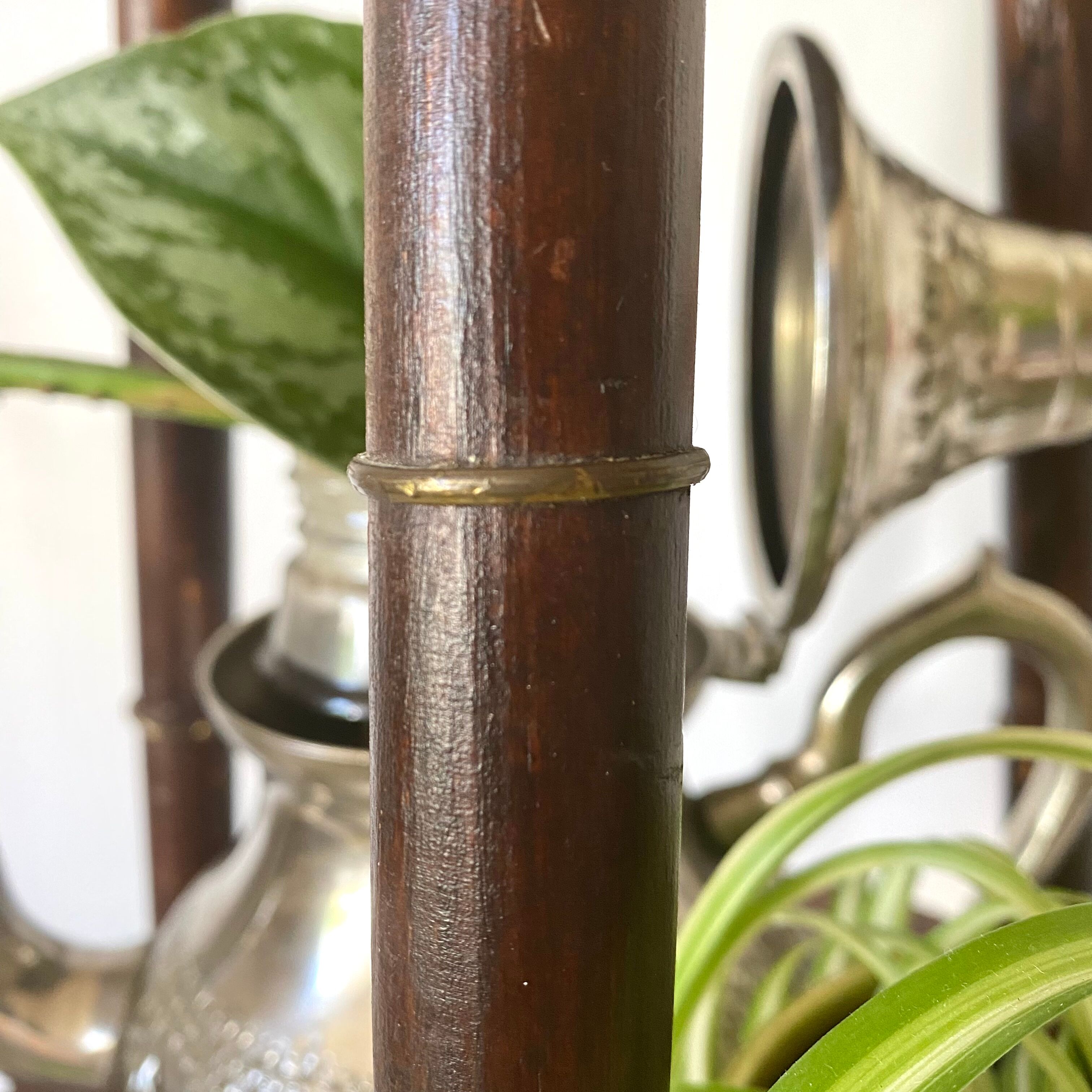 Plant holder, harness 2 trays