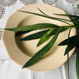 6 old hollow plates roses in iron earth