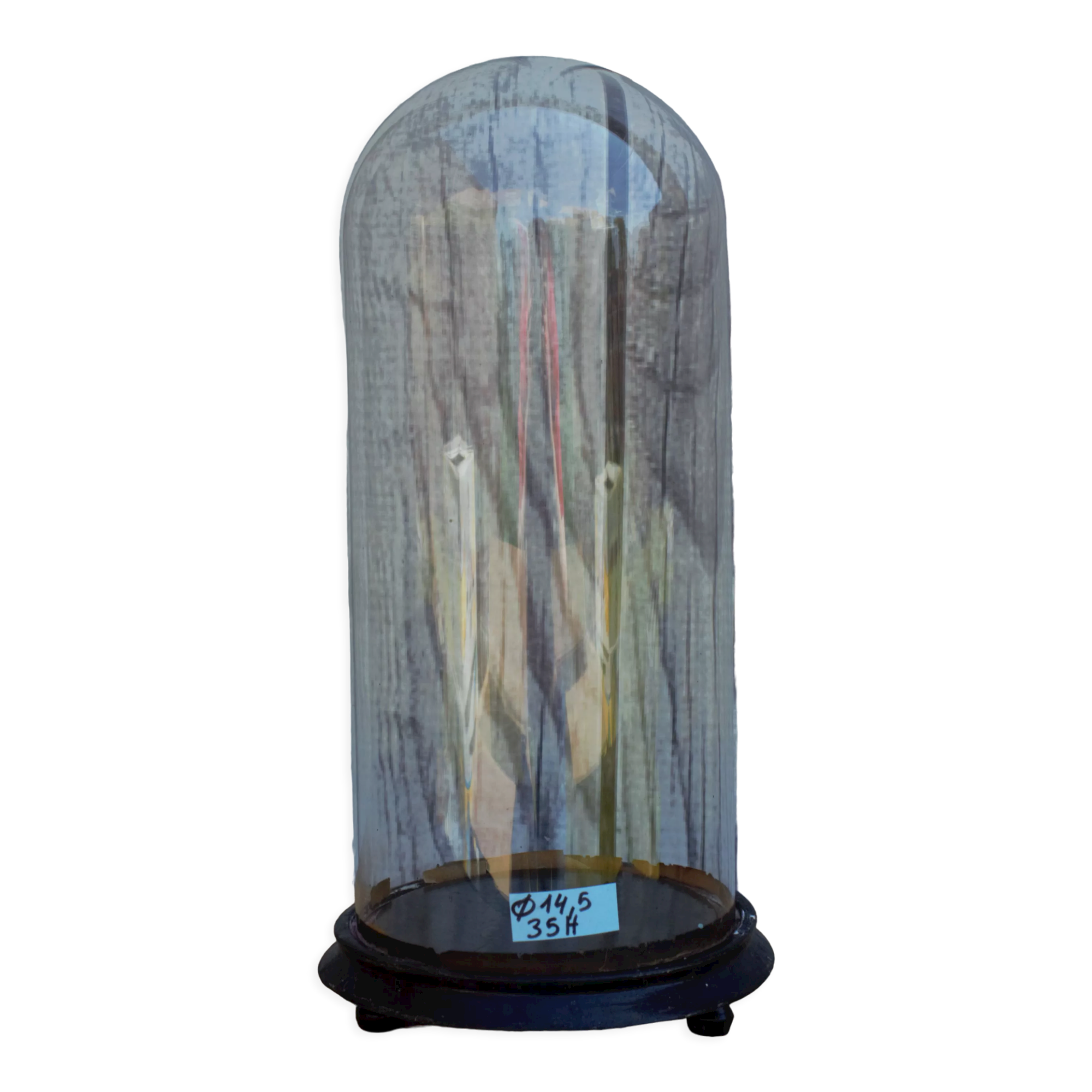 Round glass globe 35 cm high