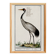 Small poster about the crane, after an old engraving from 1610.