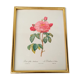 Botanical board Pj Redoute