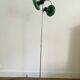 Floor lamp 2 green spots