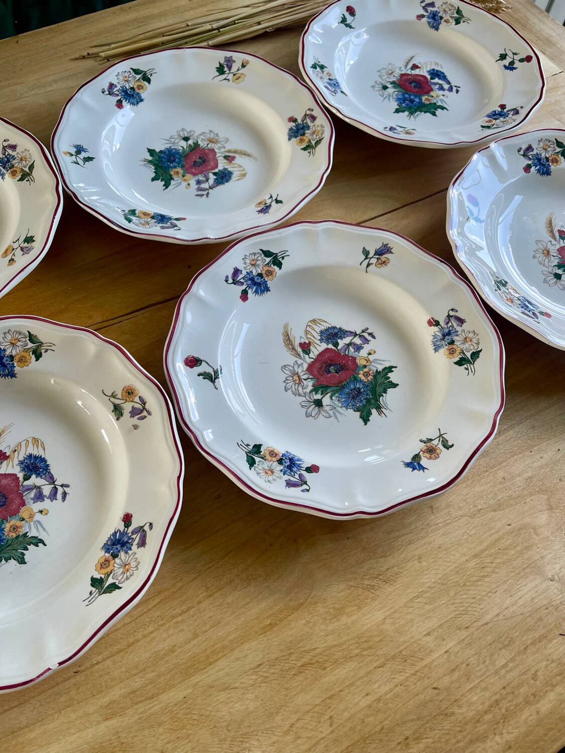Set of 6 Sarreguemines Agreste plates