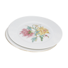 Set de 2 grandes assiettes en porcelaine de limoges