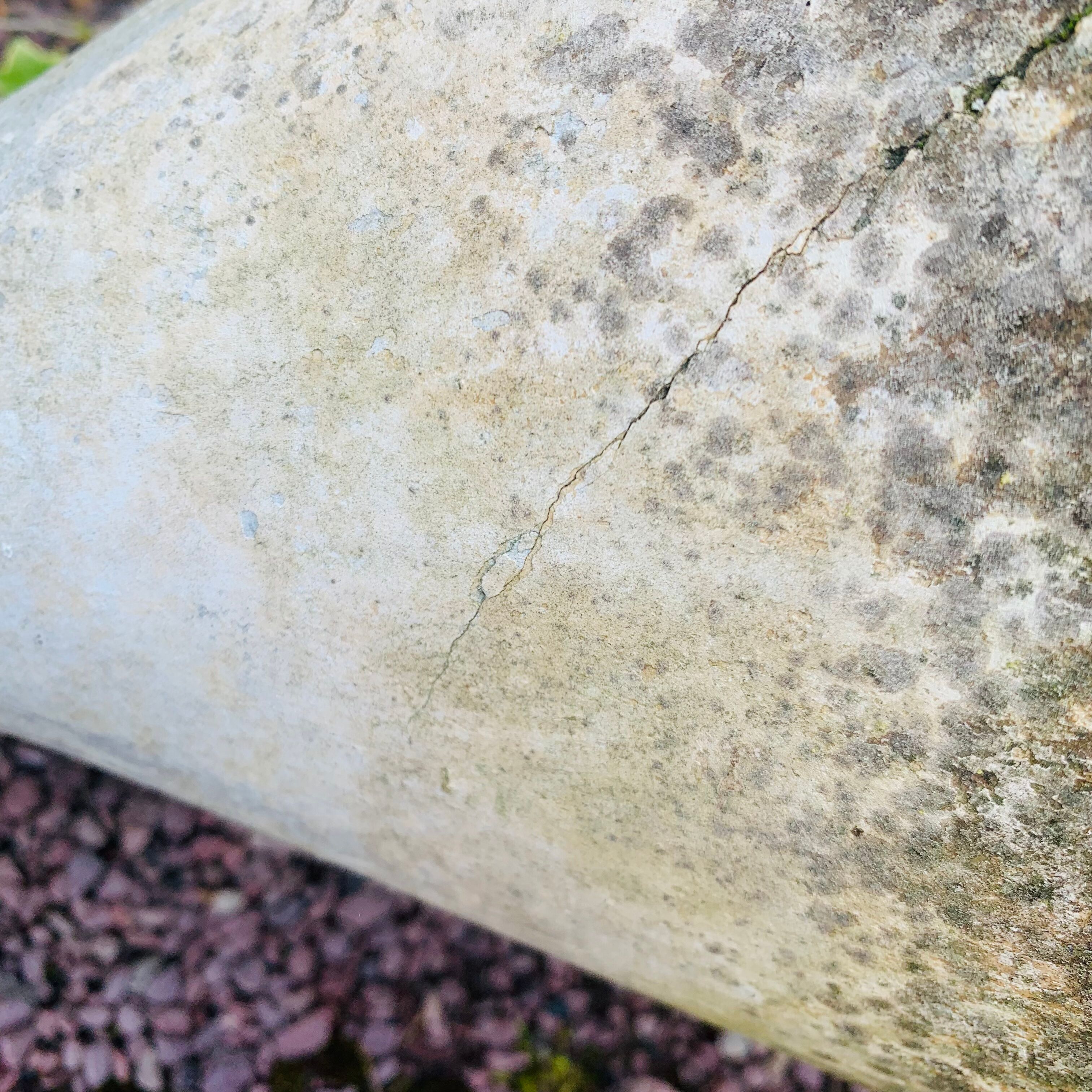 Diabolo planter by Anton Bee