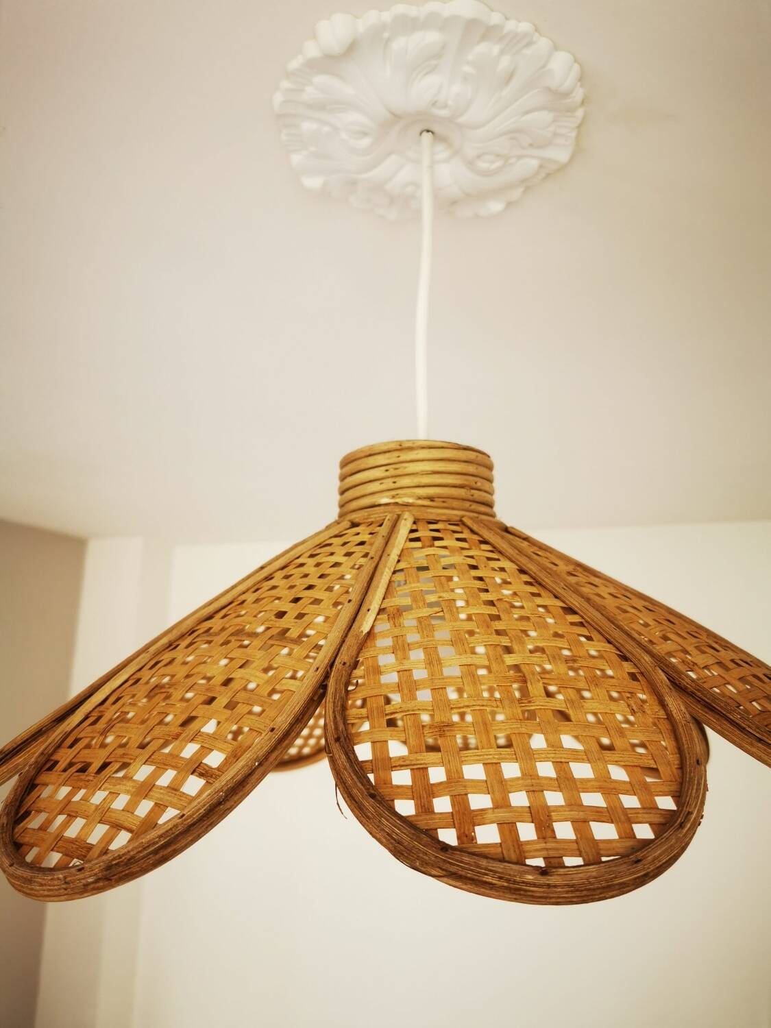Suspension cannage
