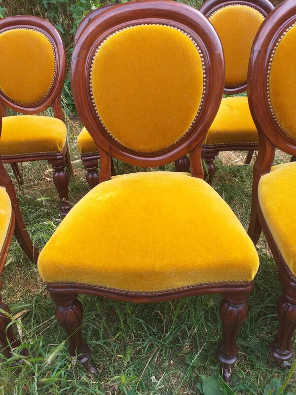 6  chaises  medaillon en acajou d'epoque Louis Philippe 19eme