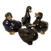 Four little black and golden ducks.