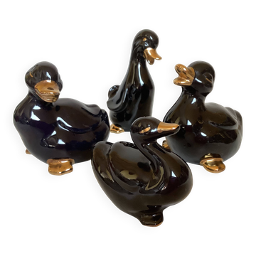 Four little black and golden ducks.