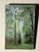 Kaki Brunet (1926-2012) "Spring in the Woods" oil on canvas