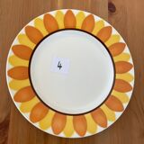 Flat plates model TOURNESOL DIGOIN