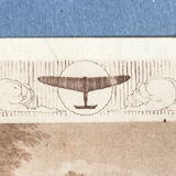 Planche vintage originale oiseau faucon