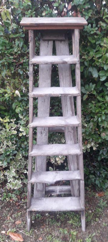 Artisan wooden ladder 6 steps