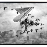 L.In the sky with gooses 2018