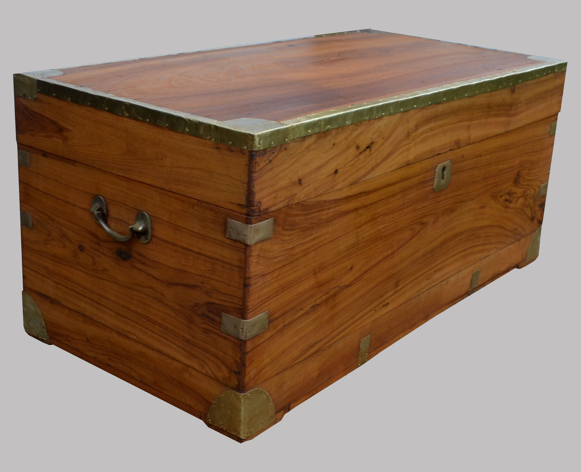 Chest in camphor tree
