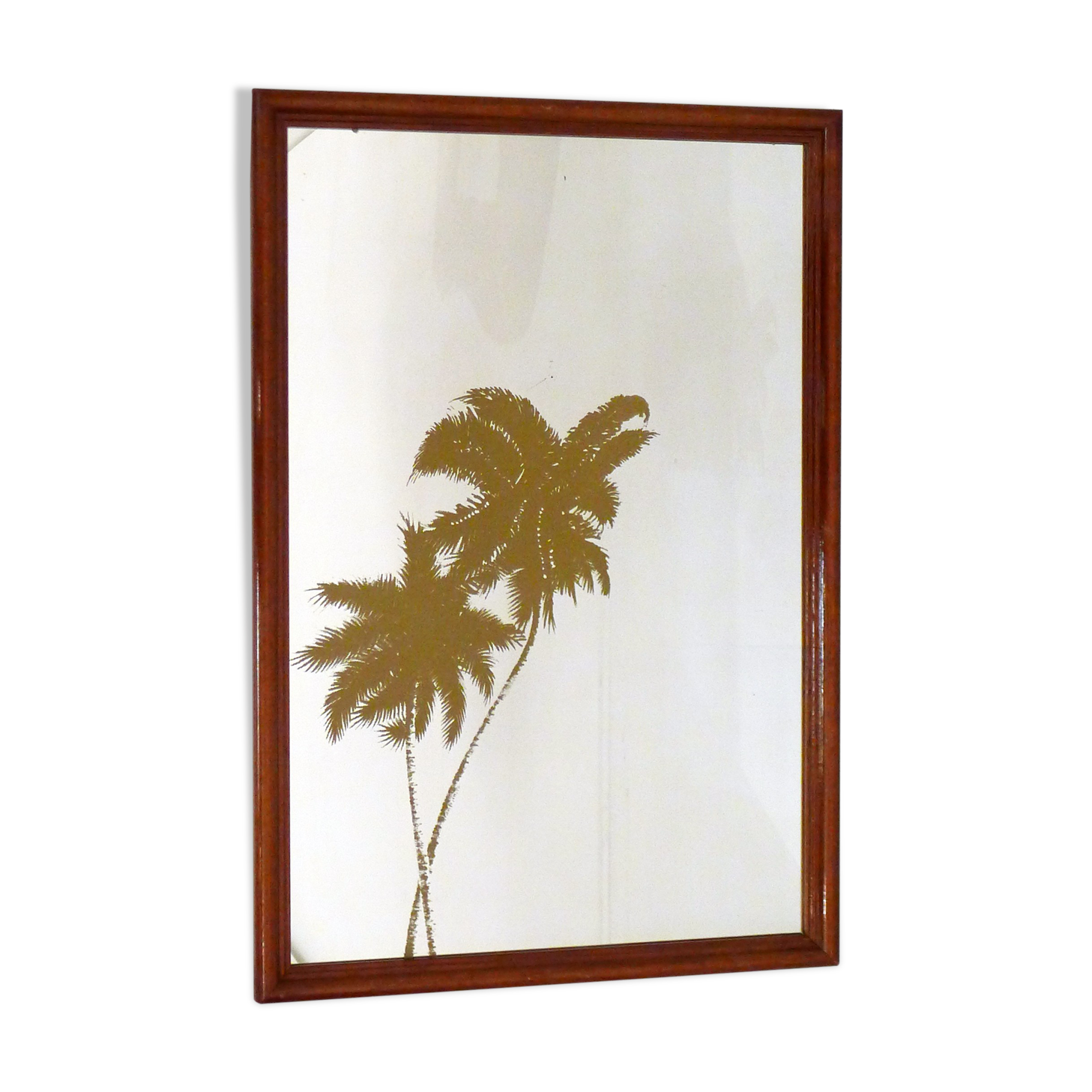 Wall mirror décor golden coconuts