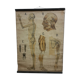 Tableau anatomique