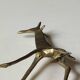 African giraffe figurine in polished brass. high 20 cm