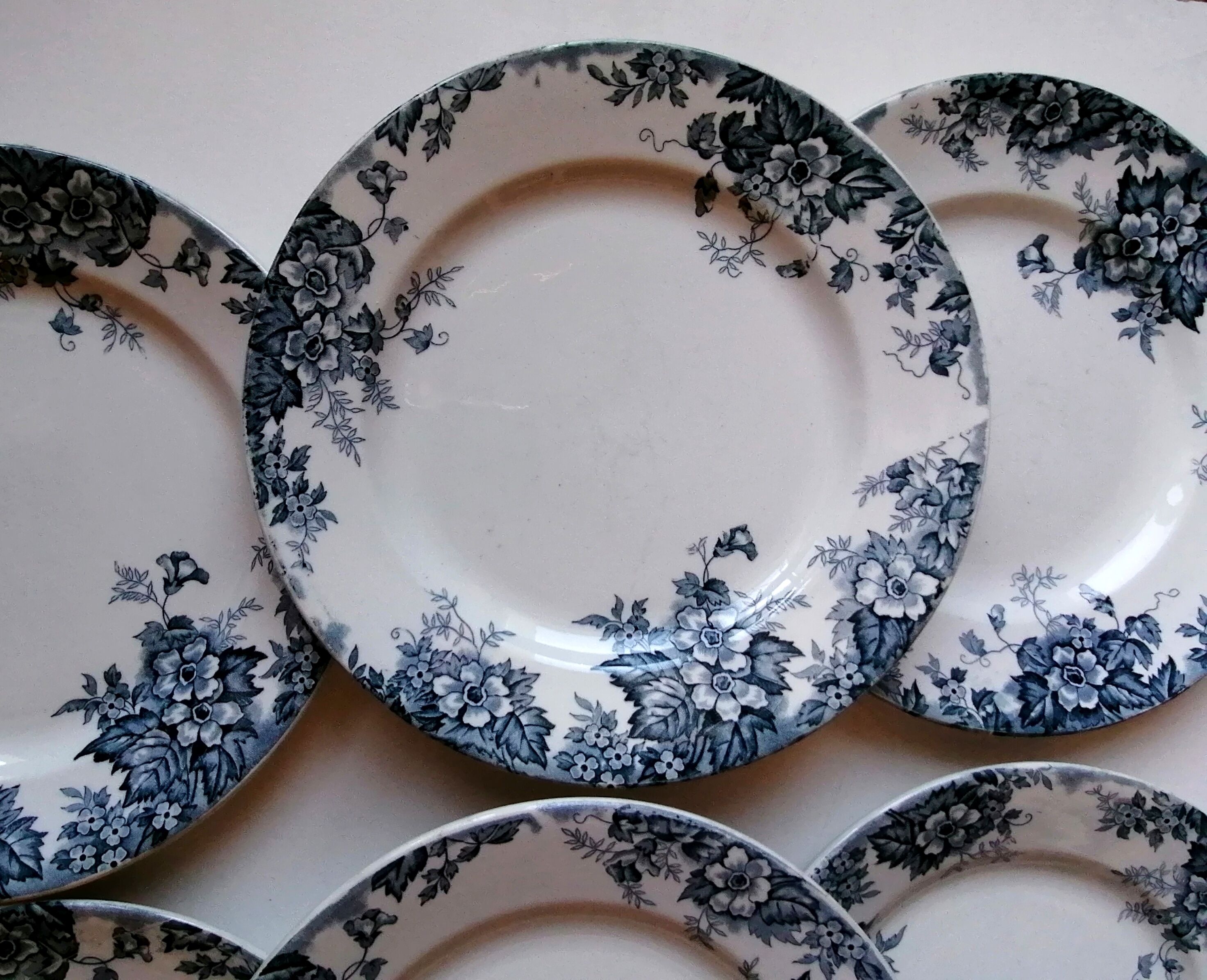 6 plates earth of iron blue and white mill of wolves