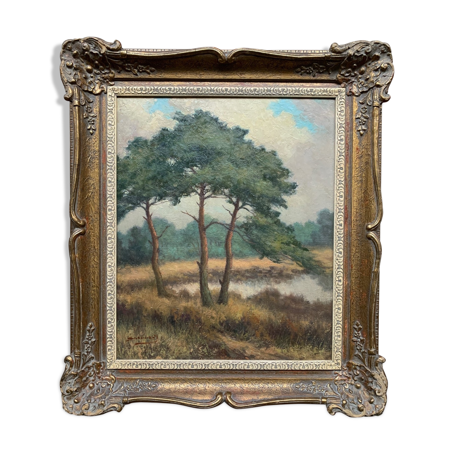 Table "The forest landscape".