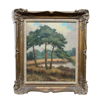 Table "The forest landscape".