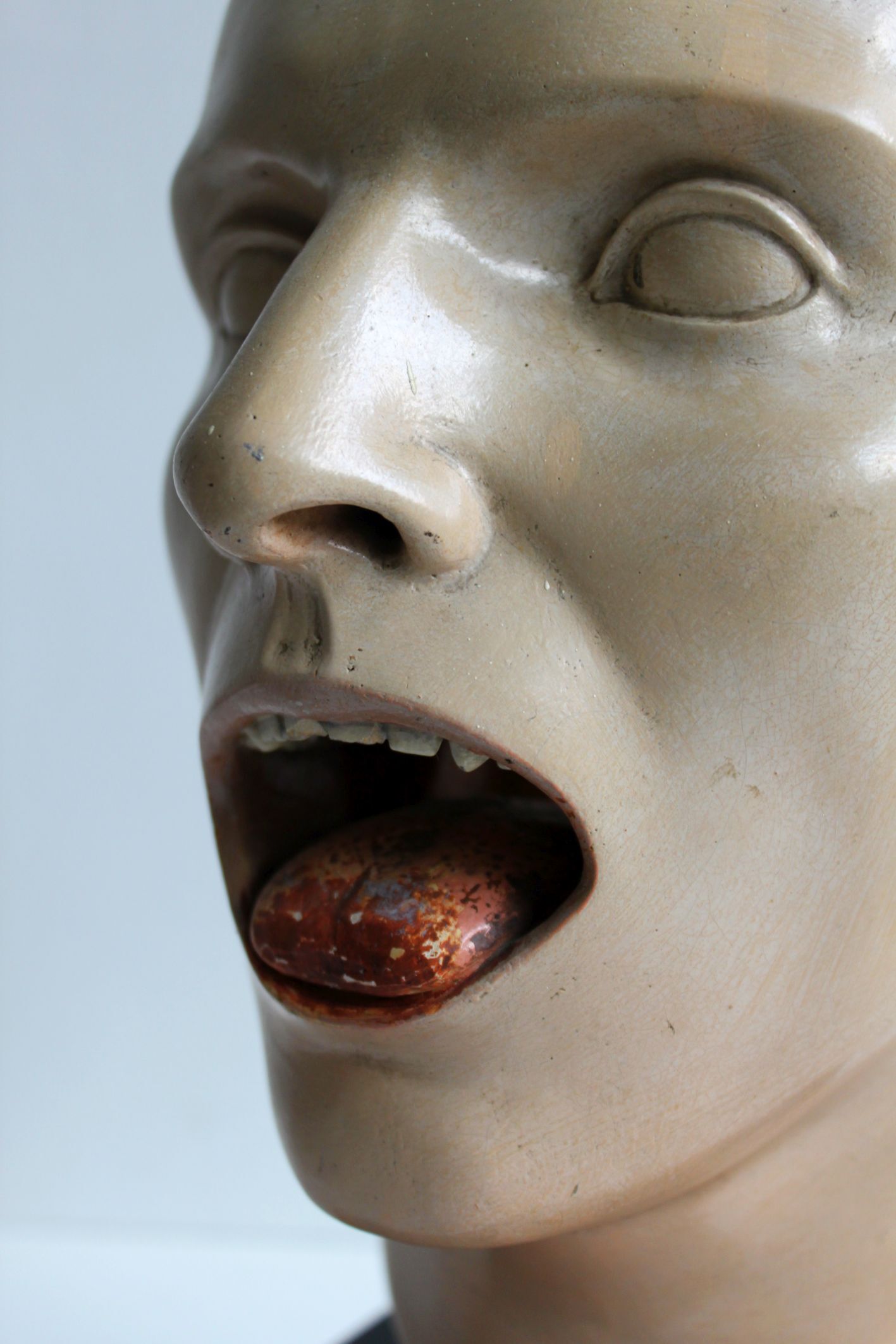 Anatomical model of human face, 30