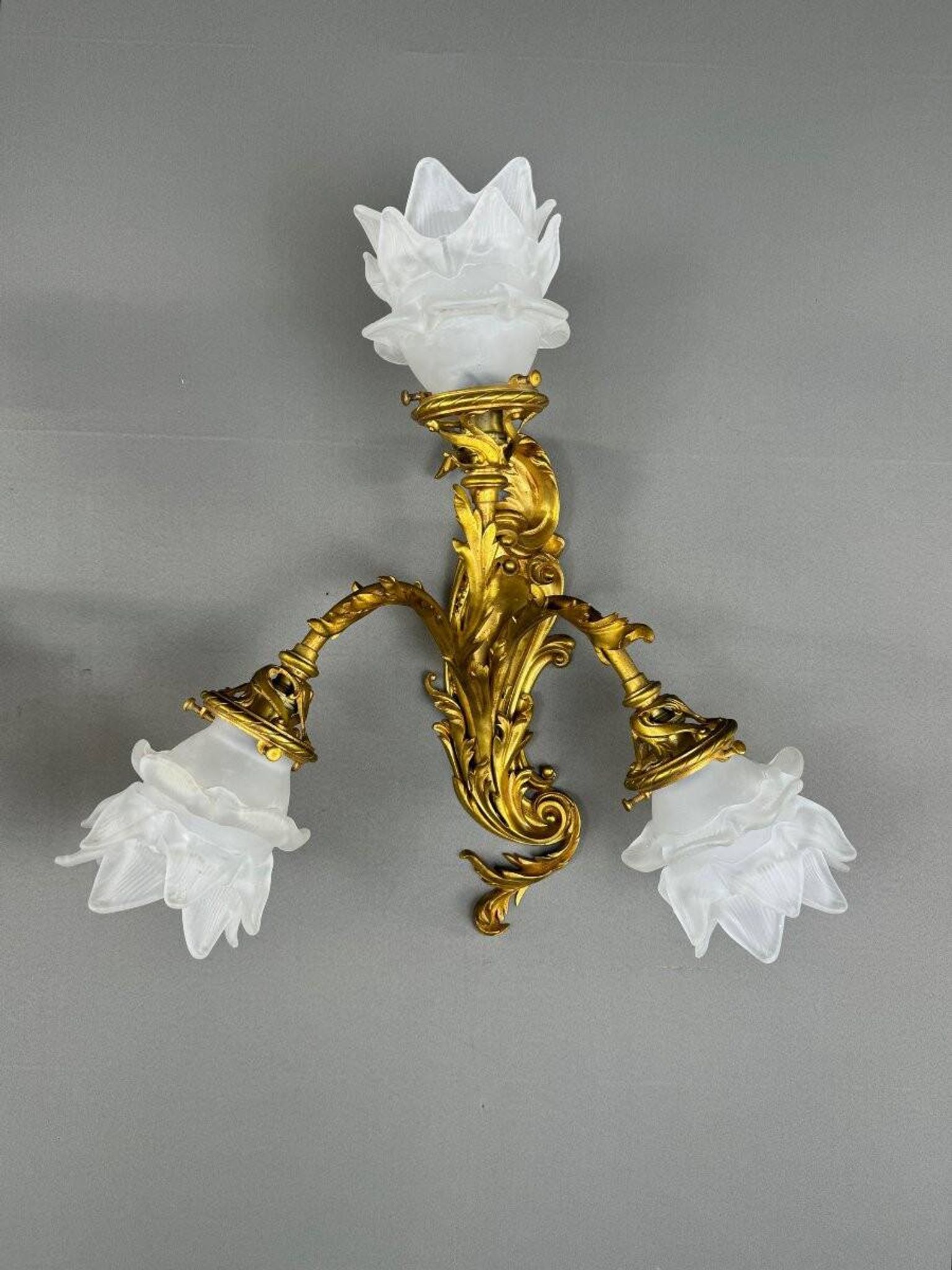 Paire d’appliques Rocaille en bronze doré, fin XIXème