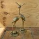 Pair of brass birds