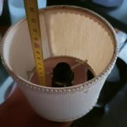 Minimalist turned wood lamp