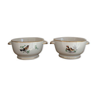 2 bowls old porcelain Pillivuyt birds