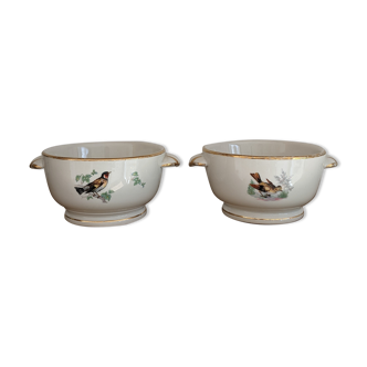 2 bols anciens porcelaine Pillivuyt oiseaux