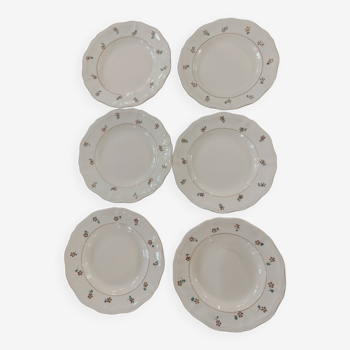 Set of 2 deep plates and 4 flat plates