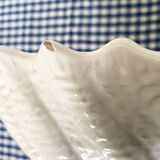 Italica ars shell salad bowl