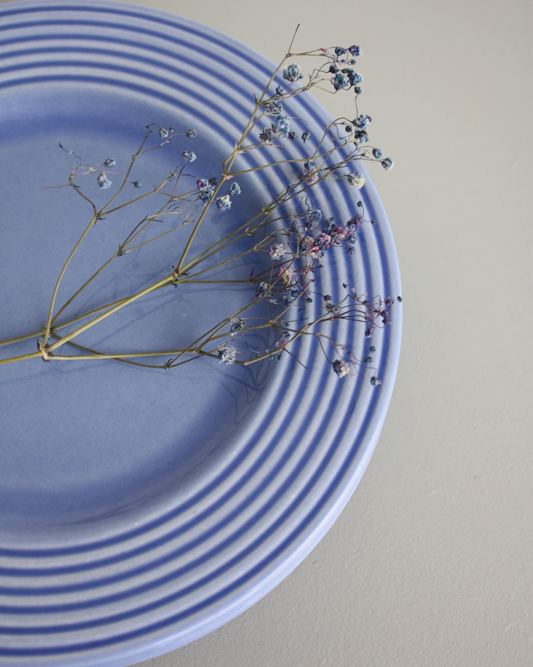 Set of 6 blue ceramic plates