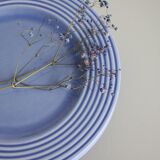 Set of 6 blue ceramic plates