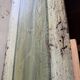 Armoire polychrome alsacienne 1800