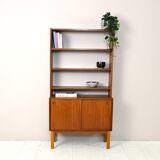 Scandinavian bookcase with cabinet