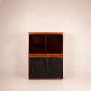 Pecary cabinet by Tito Agnoli for Caleido Frau 1970