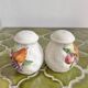 Salt and pepper shaker set