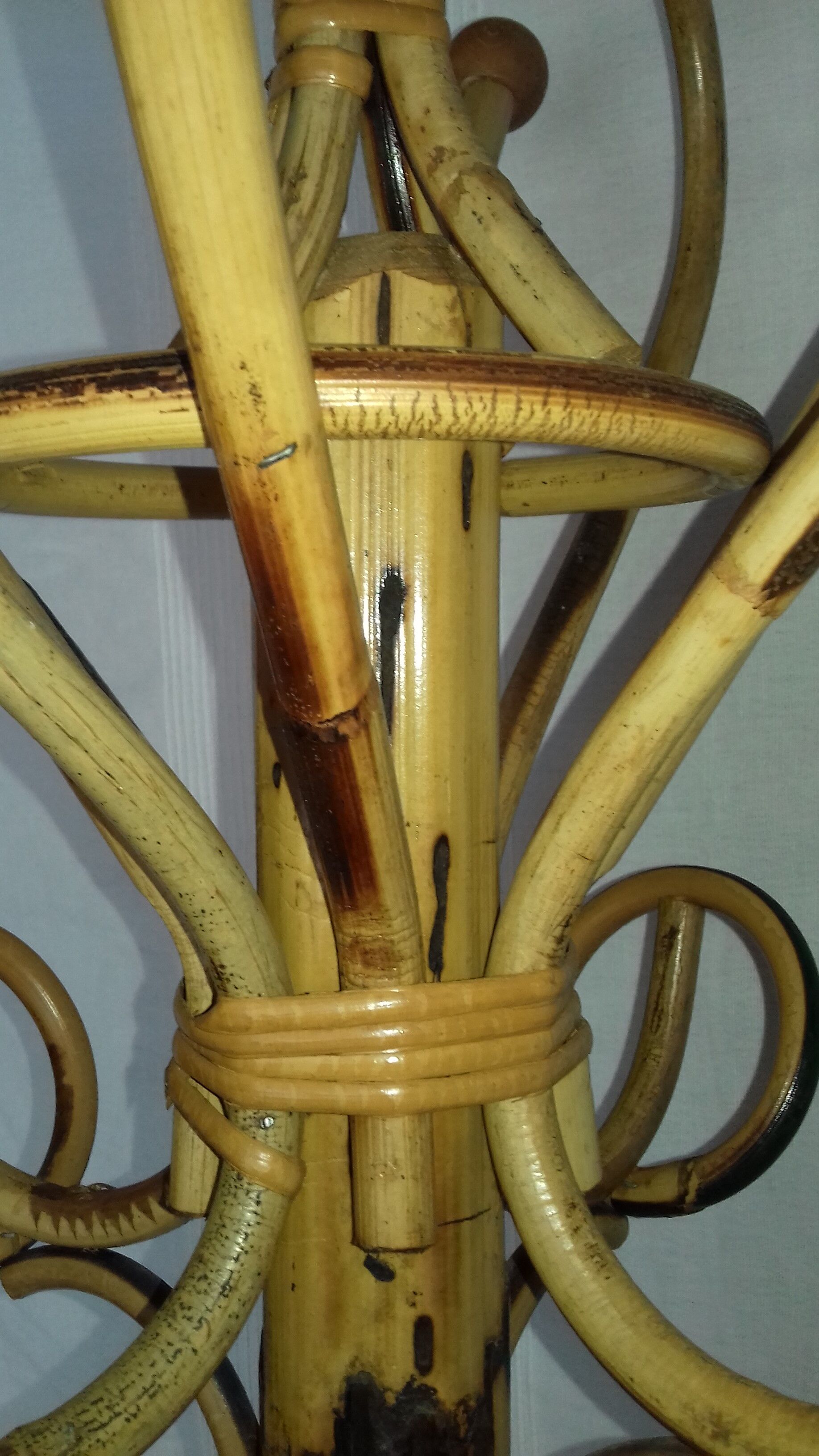 "Parrot" coat holder