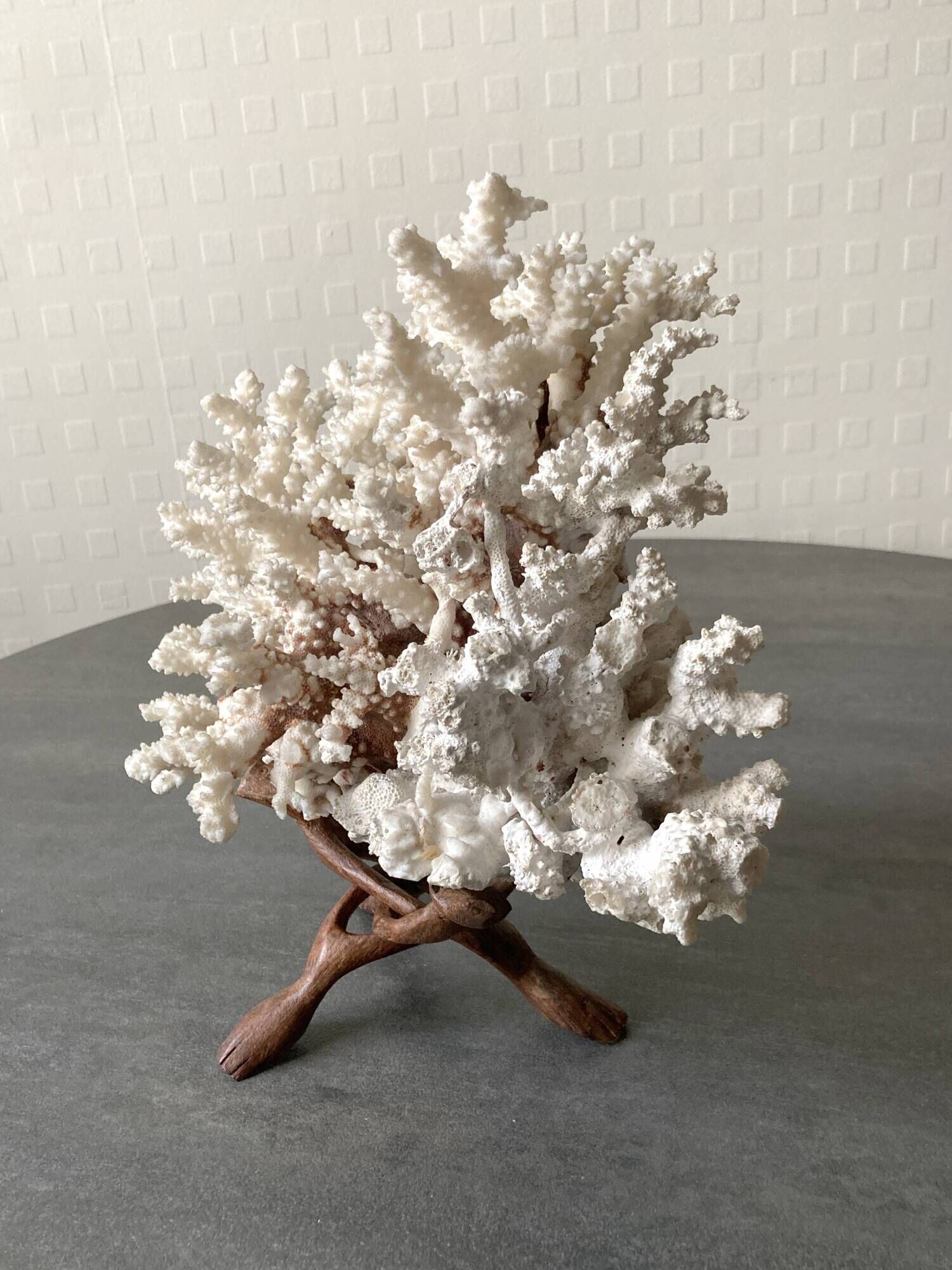 Corail blanc grand modèle 1960 sur bois sculpté
