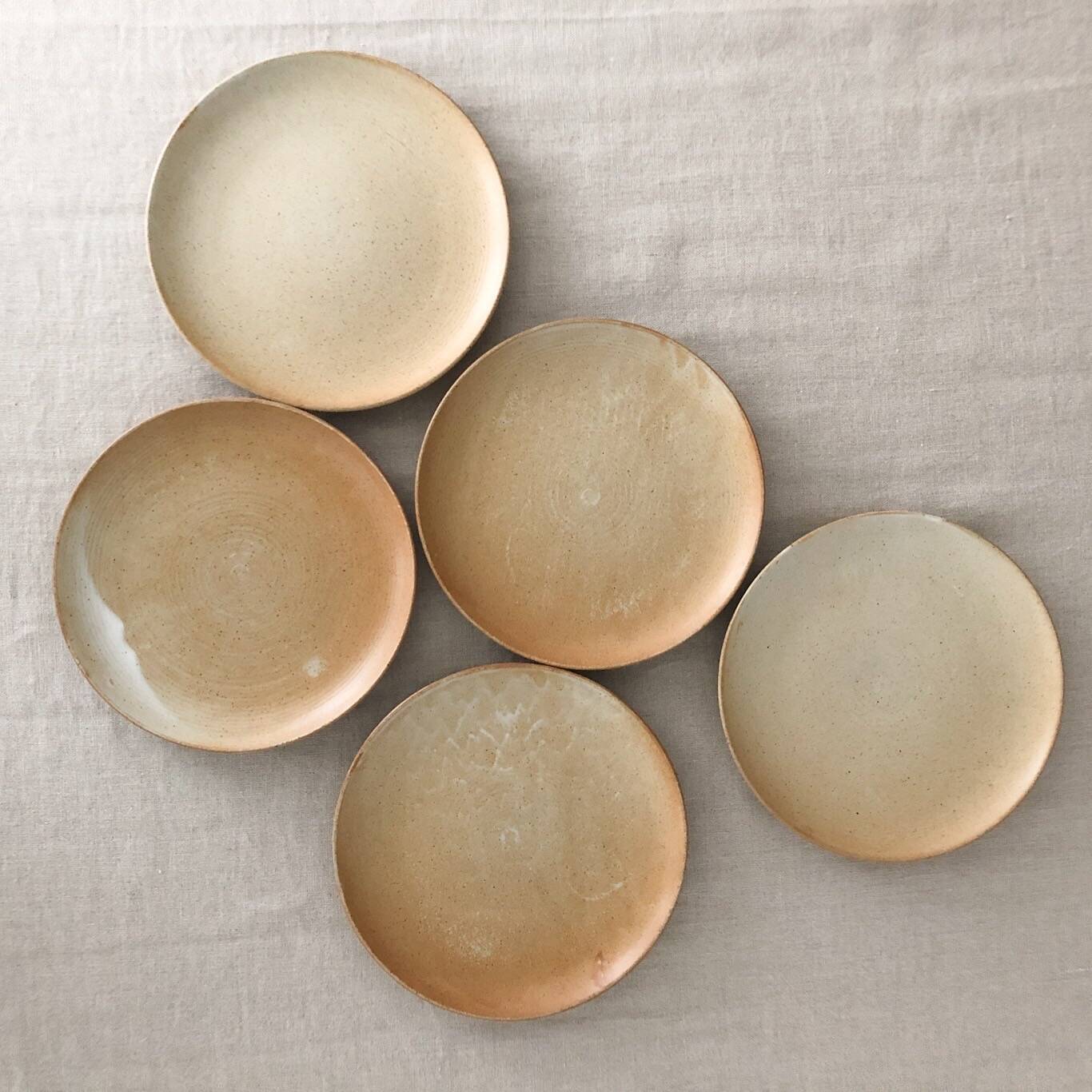 Stoneware dinner plates