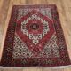 Hand-knotted bidjar gholtog rug - iran